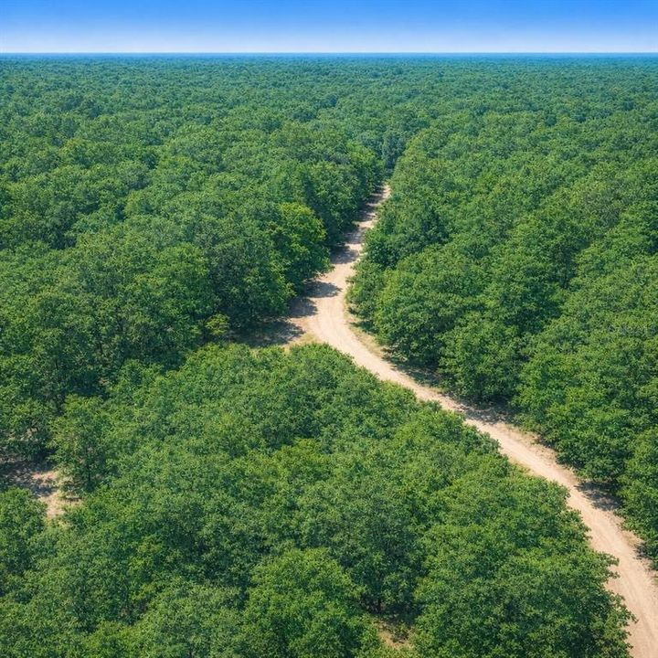 待售: $19,900 (0.23 acres)
