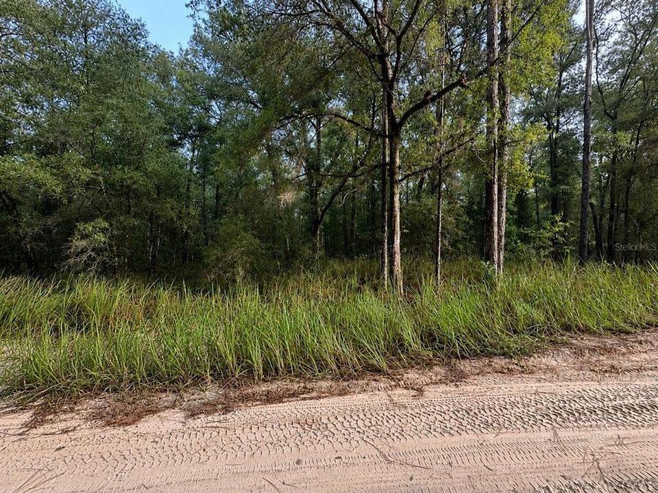 待售: $19,900 (0.23 acres)