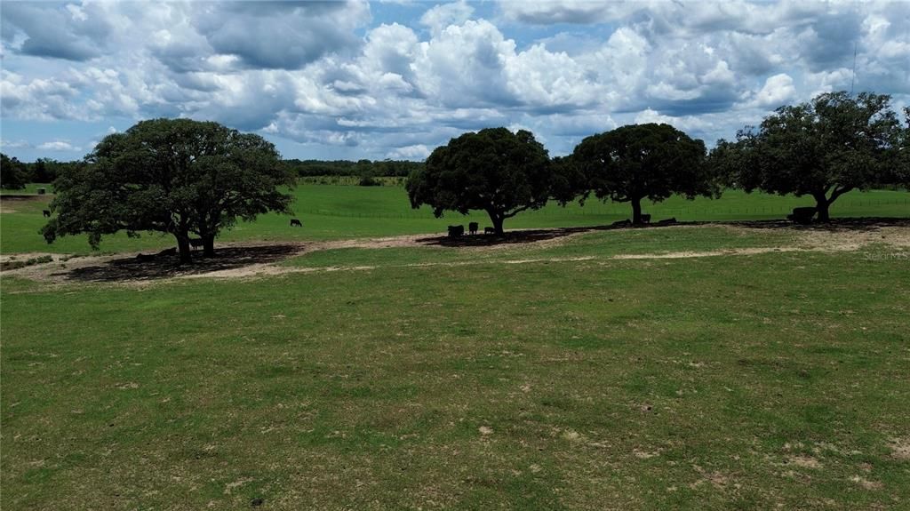 For Sale: $855,000 (45.00 acres)