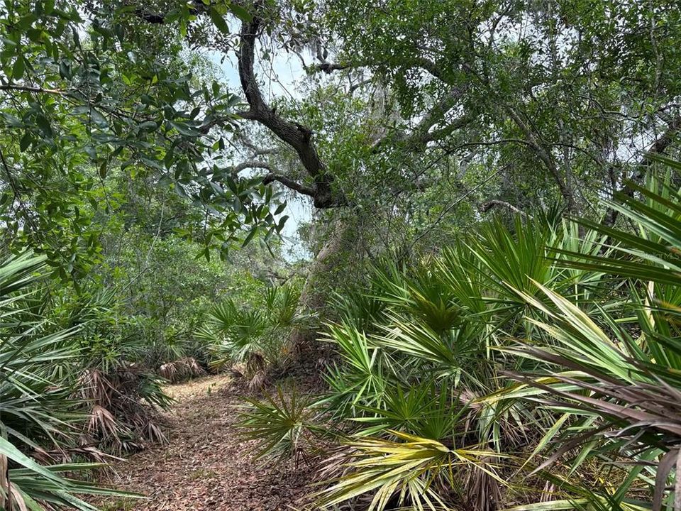 待售: $275,000 (10.00 acres)
