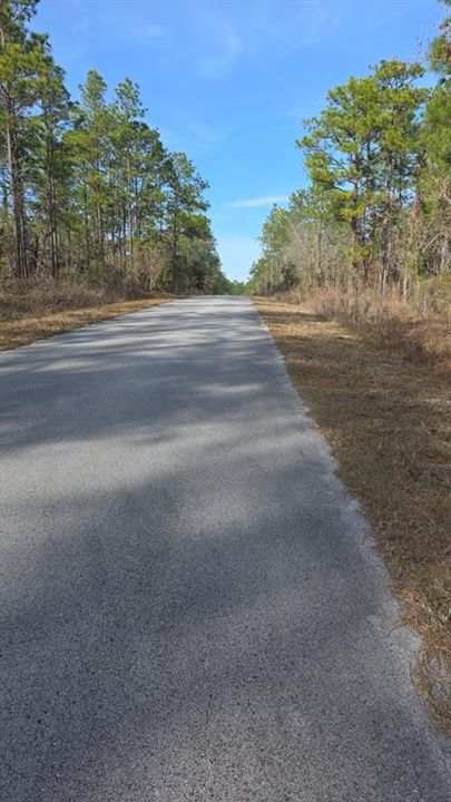 待售: $15,999 (0.25 acres)