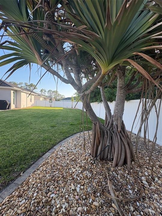 For Sale: $389,000 (3 beds, 2 baths, 1784 Square Feet)