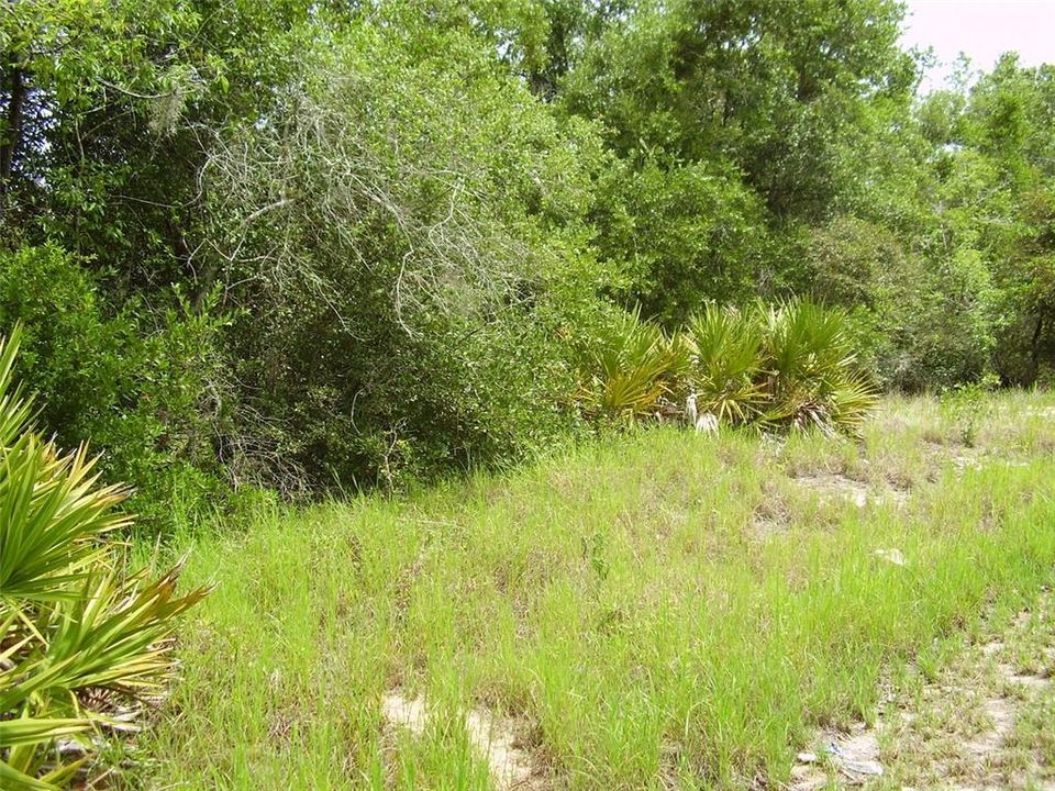 En Venta: $55,000 (0.39 acres)