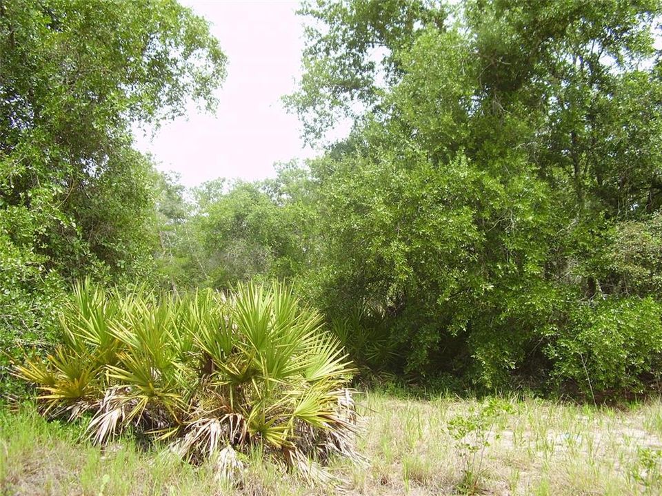 En Venta: $55,000 (0.39 acres)