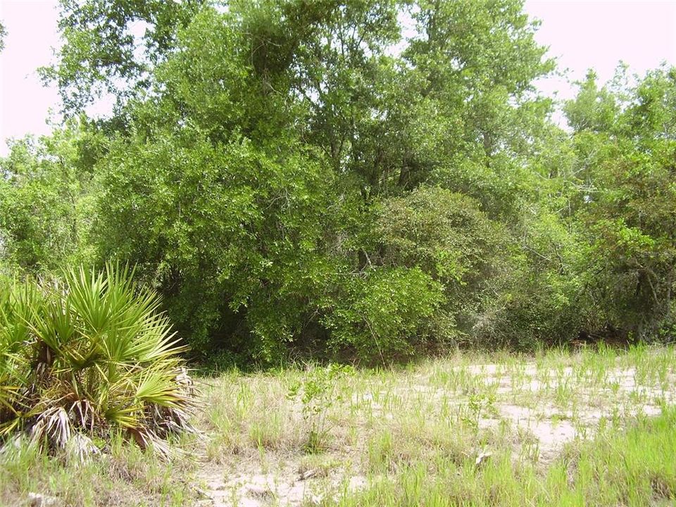 En Venta: $55,000 (0.39 acres)