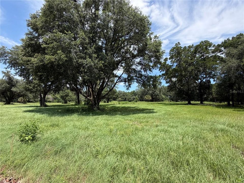 For Sale: $407,000 (11.61 acres)