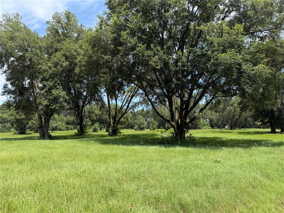 For Sale: $407,000 (11.61 acres)