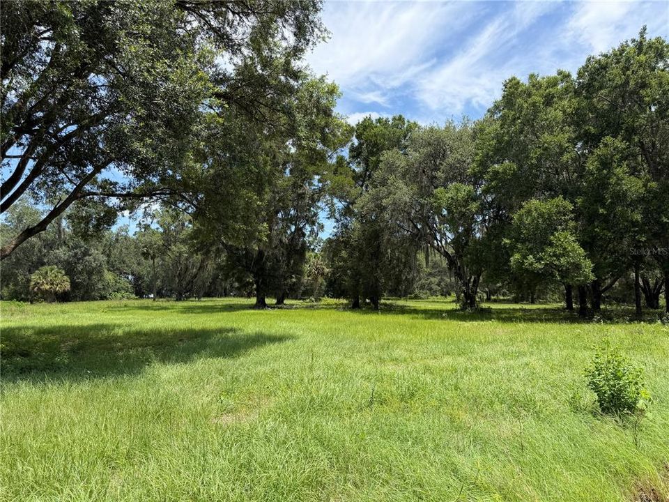 For Sale: $407,000 (11.61 acres)