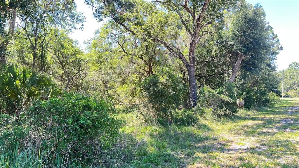 For Sale: $49,999 (1.05 acres)