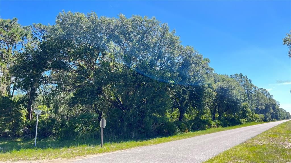 For Sale: $49,999 (1.05 acres)