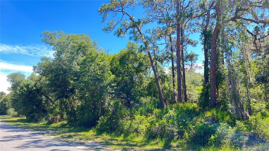 For Sale: $49,999 (1.05 acres)