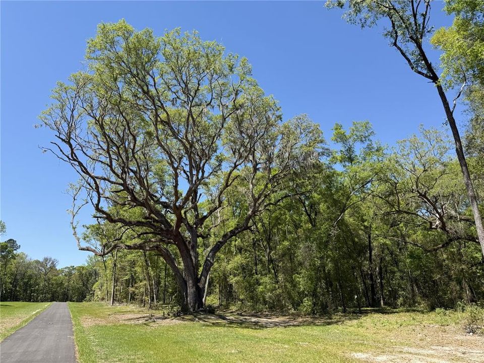 For Sale: $399,910 (13.79 acres)