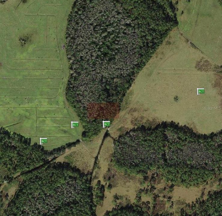 For Sale: $26,000 (1.25 acres)