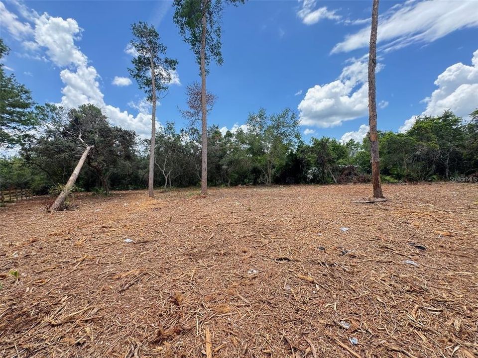 For Sale: $31,900 (0.49 acres)