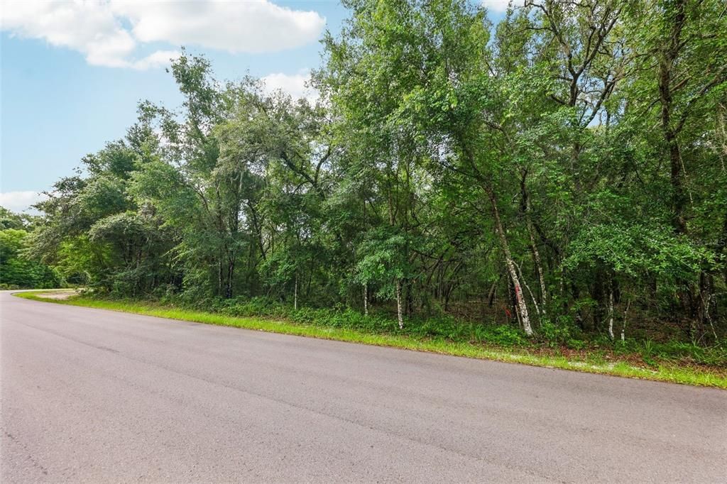 For Sale: $80,509 (3.09 acres)