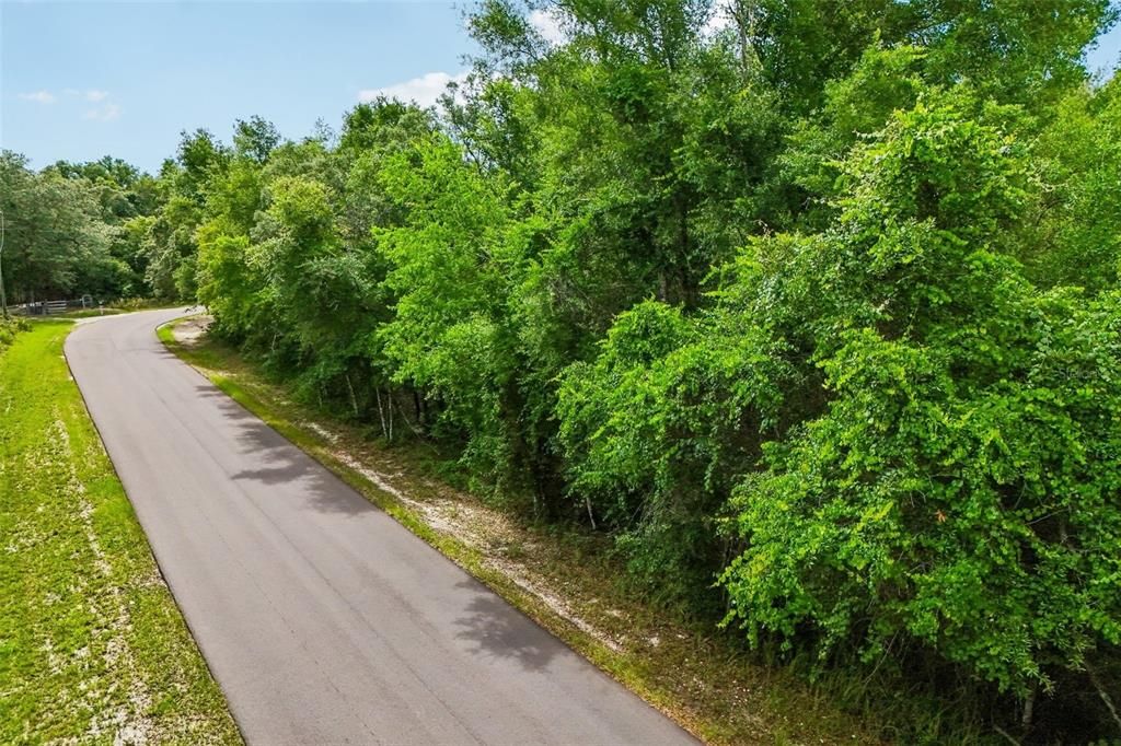 For Sale: $80,509 (3.09 acres)