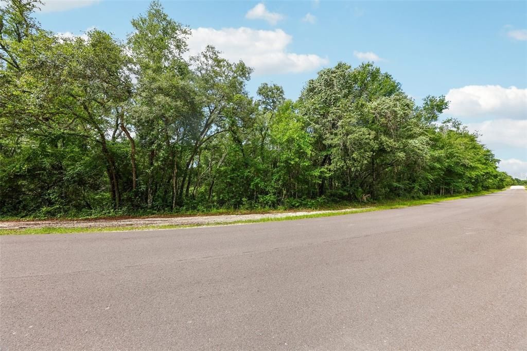 For Sale: $80,509 (3.09 acres)