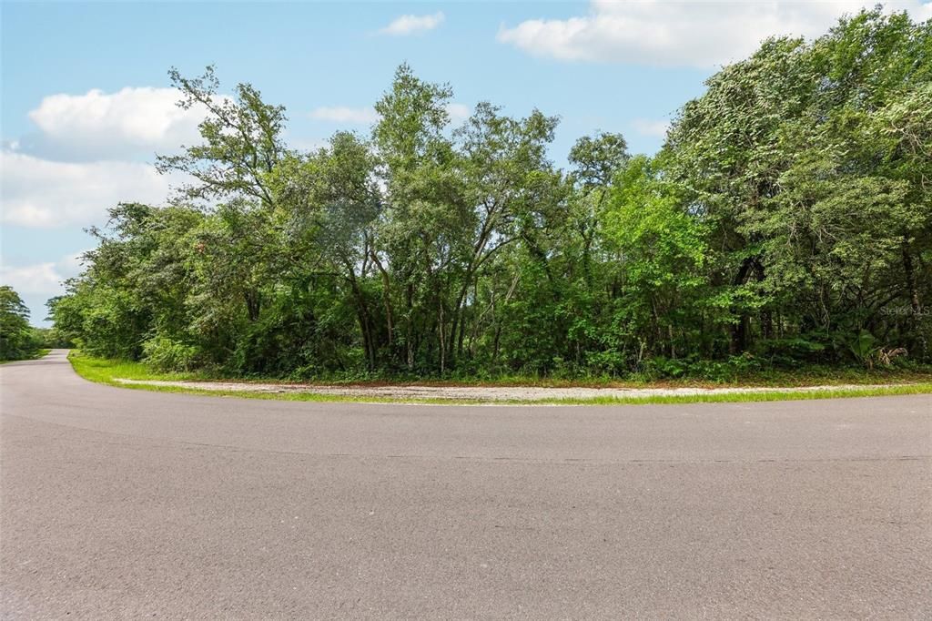 For Sale: $80,509 (3.09 acres)