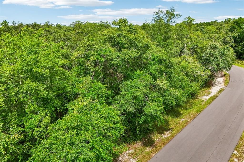 For Sale: $80,509 (3.09 acres)
