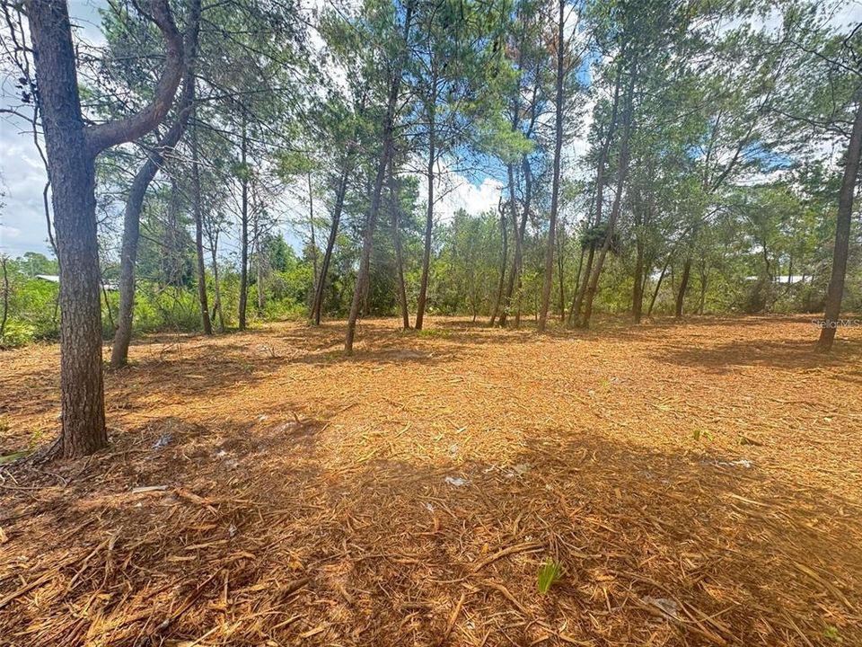 For Sale: $31,900 (0.43 acres)