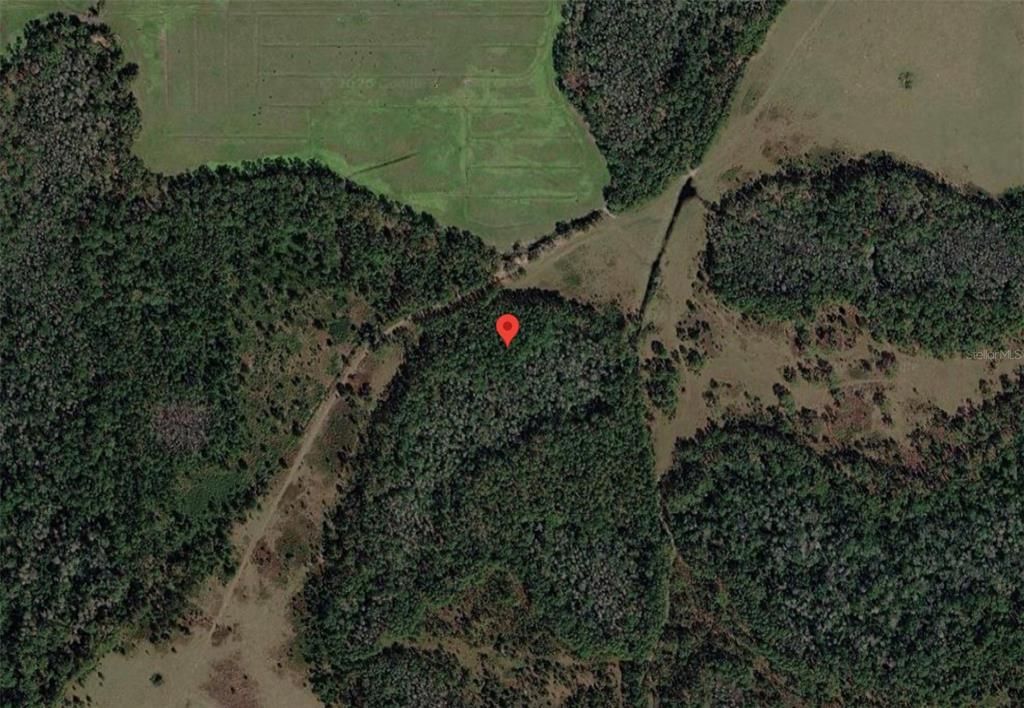 En Venta: $26,000 (1.25 acres)