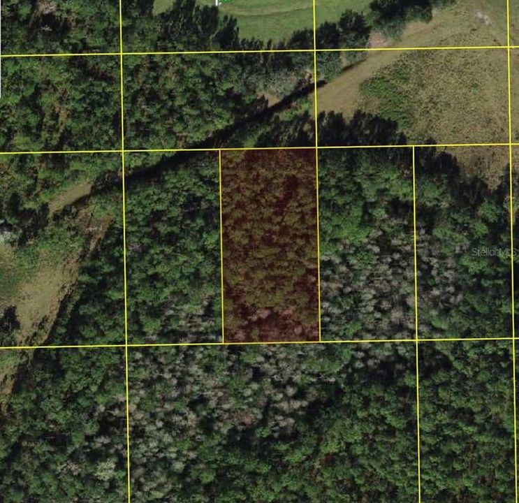 En Venta: $26,000 (1.25 acres)