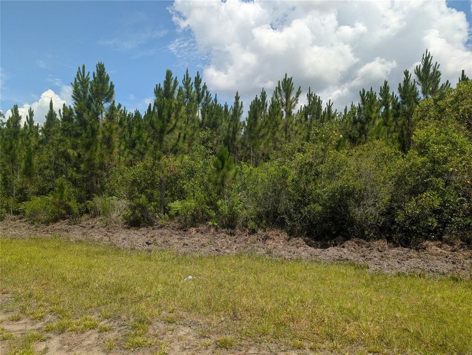 For Sale: $12,000 (0.50 acres)