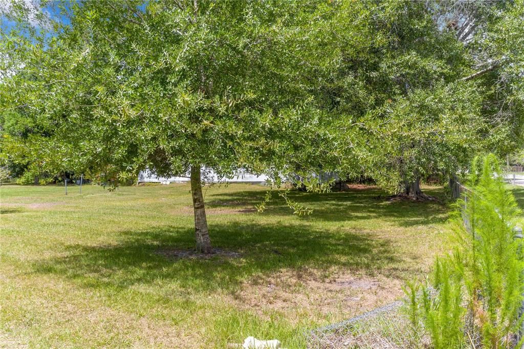 待售: $299,900 (4.93 acres)
