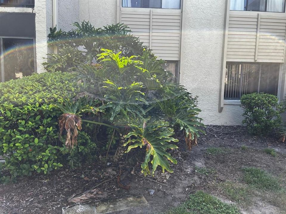 For Rent: $1,750 (2 beds, 2 baths, 828 Square Feet)