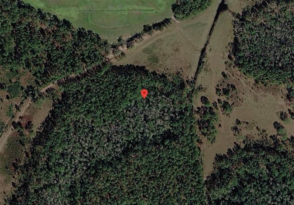 For Sale: $26,000 (1.25 acres)