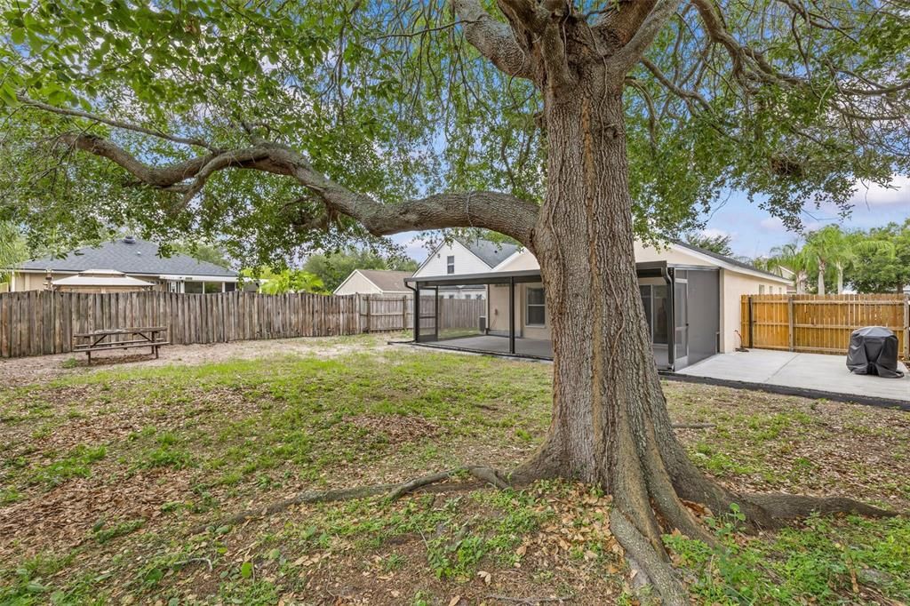 For Sale: $375,000 (3 beds, 2 baths, 1335 Square Feet)