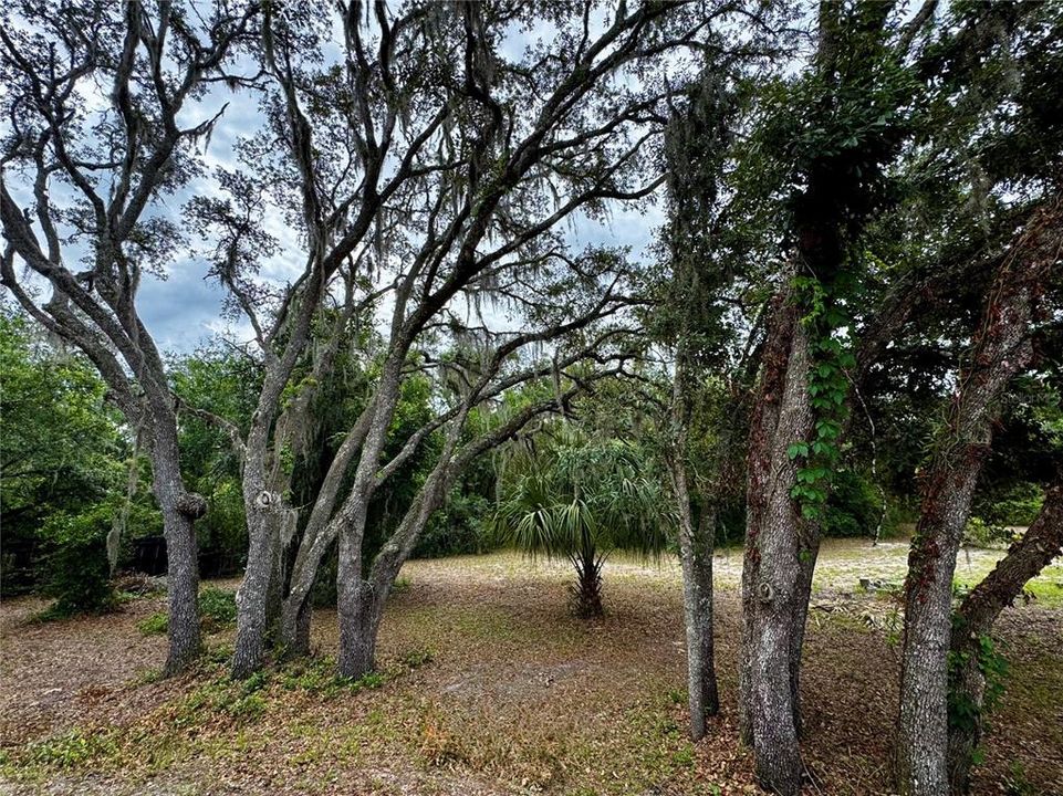 For Sale: $429,900 (3 beds, 2 baths, 1599 Square Feet)