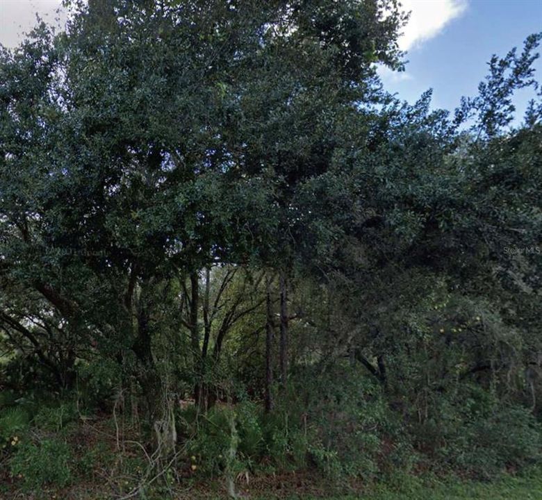 For Sale: $21,000 (0.50 acres)