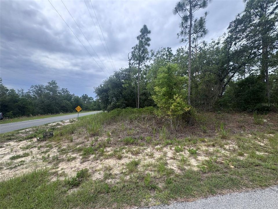 For Sale: $79,999 (1.98 acres)