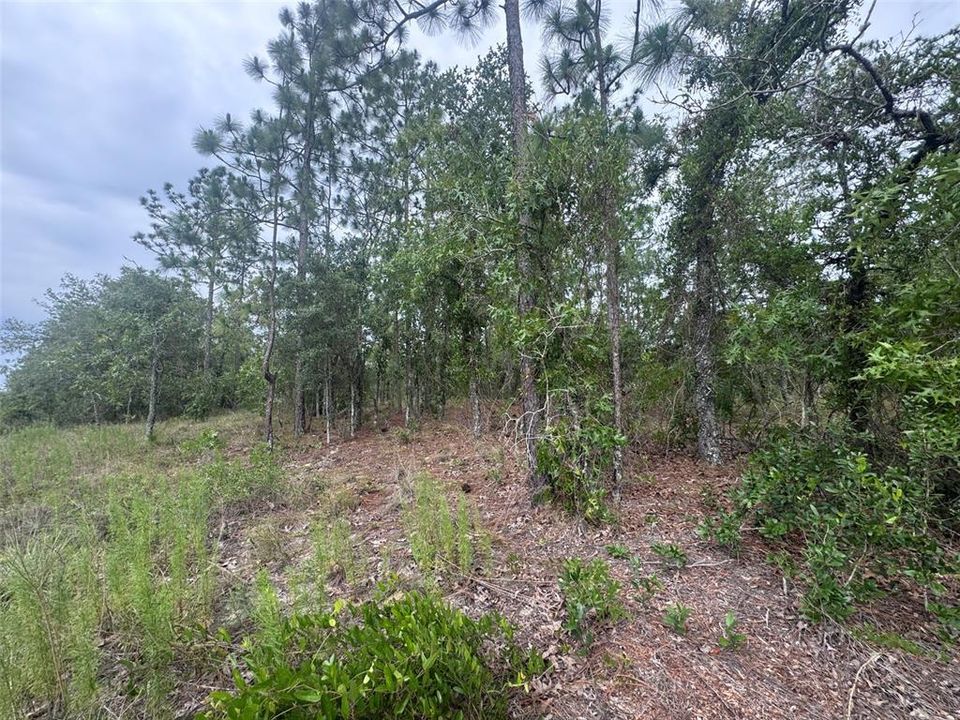 For Sale: $79,999 (1.98 acres)
