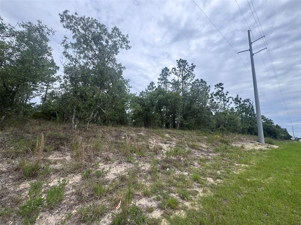 For Sale: $79,999 (1.98 acres)