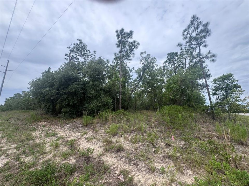 For Sale: $79,999 (1.98 acres)