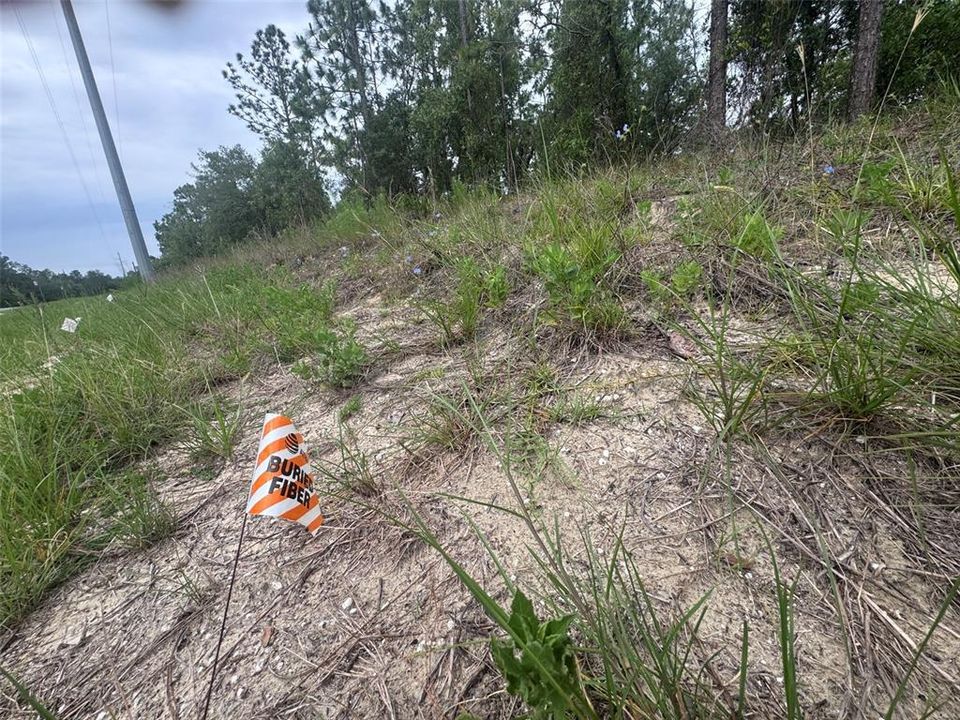 For Sale: $79,999 (1.98 acres)