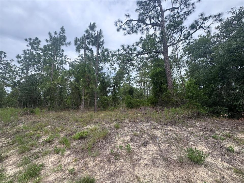 For Sale: $79,999 (1.98 acres)