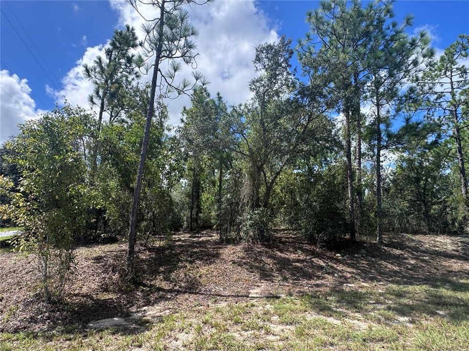 For Sale: $73,500 (1.98 acres)