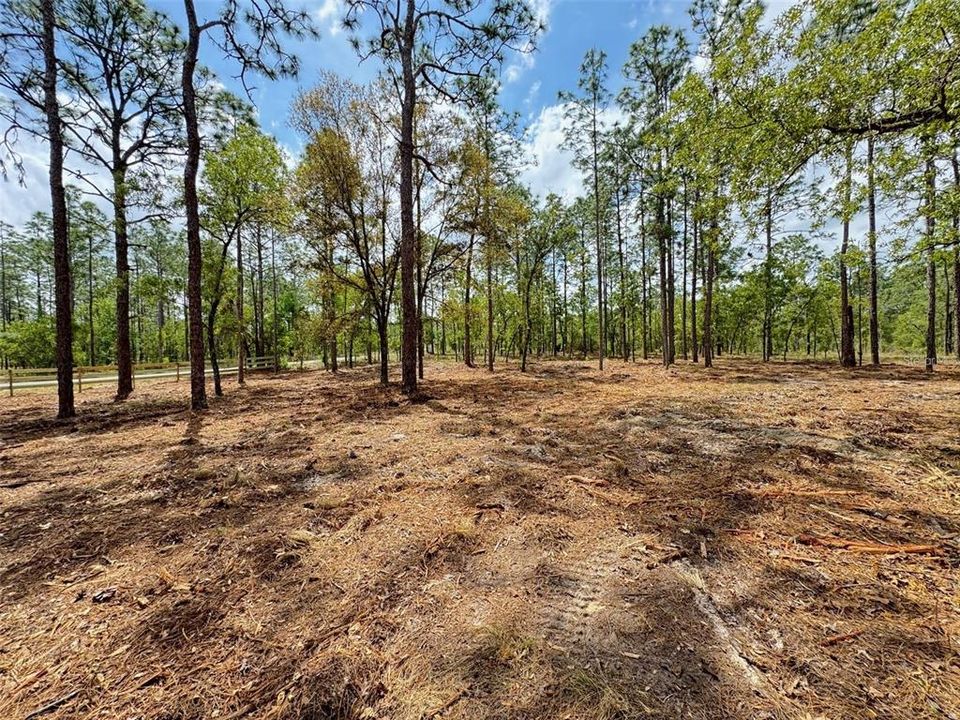 For Sale: $31,900 (0.99 acres)