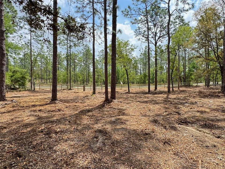 For Sale: $31,900 (0.99 acres)