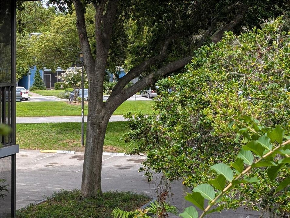 For Rent: $1,750 (2 beds, 2 baths, 953 Square Feet)