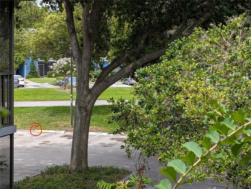 For Rent: $1,750 (2 beds, 2 baths, 953 Square Feet)