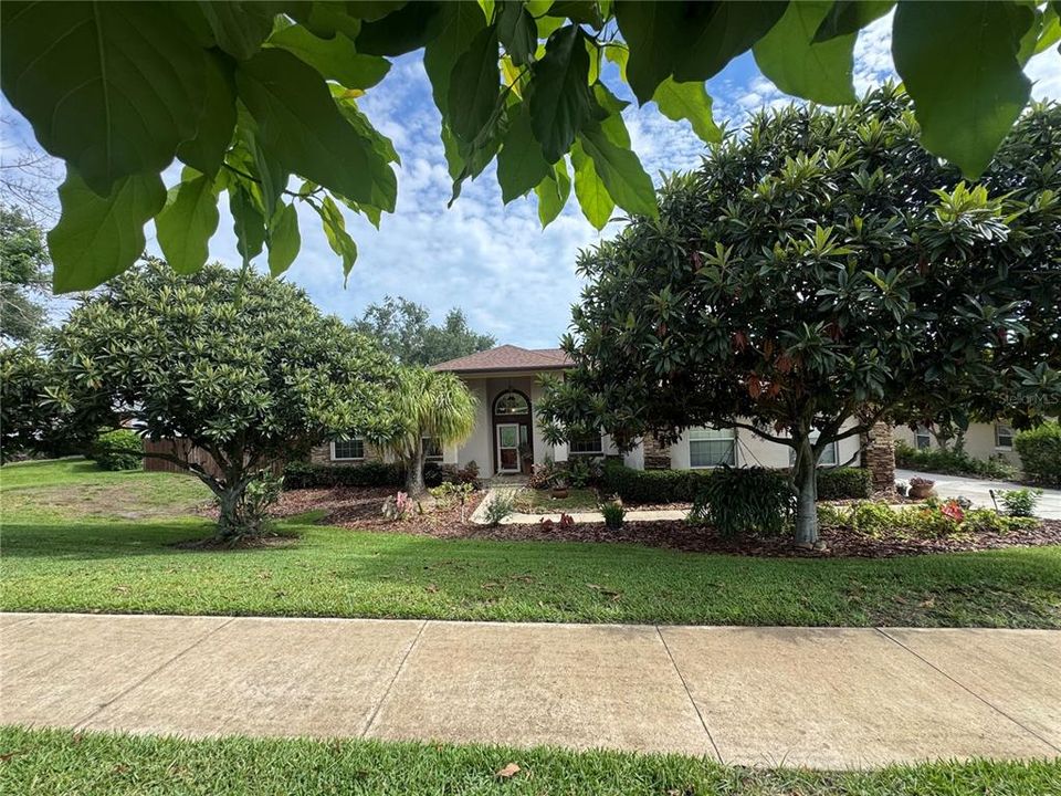Activo con contrato: $650,000 (3 camas, 2 baños, 2033 Pies cuadrados)