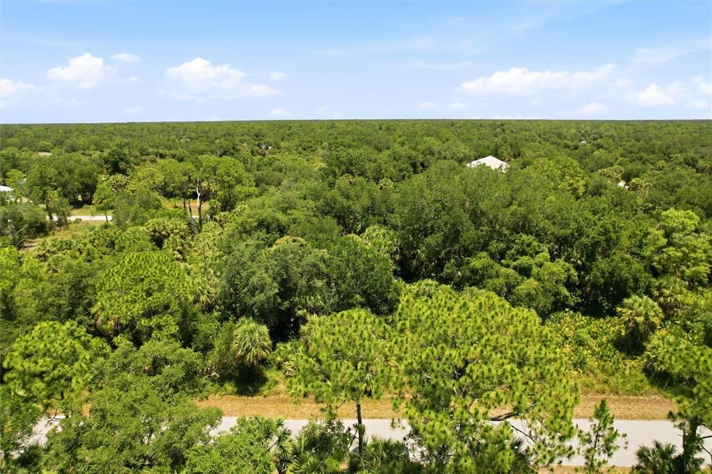 For Sale: $19,000 (0.23 acres)