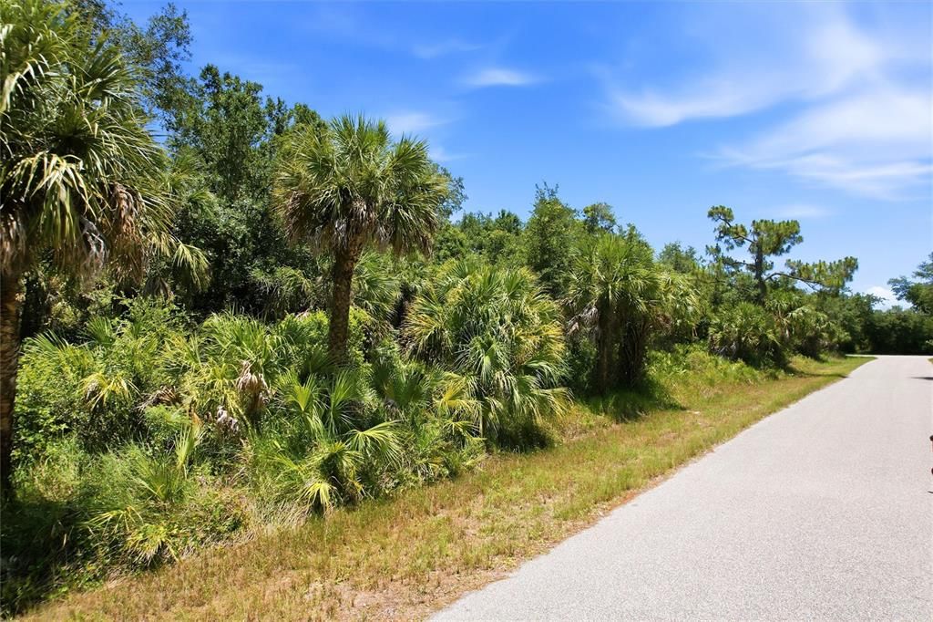 For Sale: $19,000 (0.23 acres)