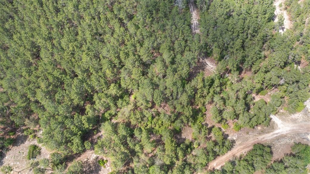For Sale: $261,250 (10.06 acres)