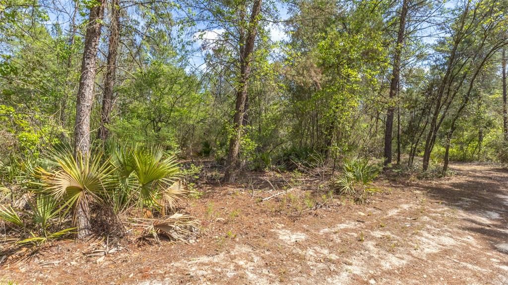 For Sale: $261,250 (10.06 acres)