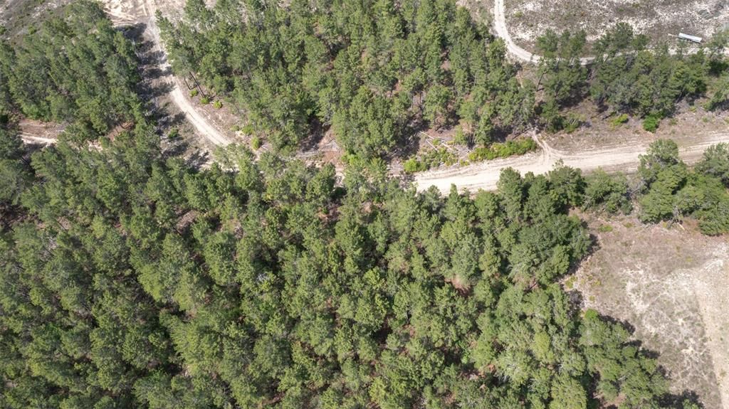 For Sale: $261,250 (10.06 acres)